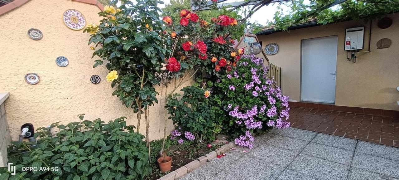 Casa In Giardino Apartment Piombino Exterior foto